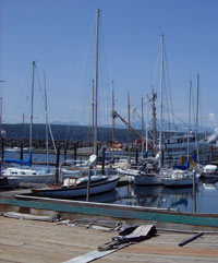 Accredited Marine Surveys Ontario